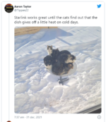 1641906021152.png