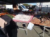 IMG_20220129_103727.jpg
