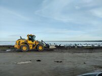 IMG_20220131_130839.jpg