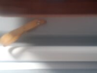 20220804_082446.jpg