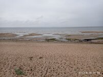IMG_20220914_115841.jpg