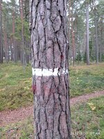 IMG_20220915_074402.jpg