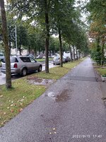 IMG_20220915_174140.jpg