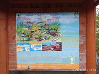 IMG_20220915_105633.jpg