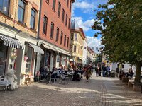 IMG_4748.jpg