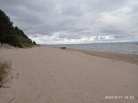IMG_20220917_145335.jpg