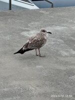 IMG_20220918_135650.jpg