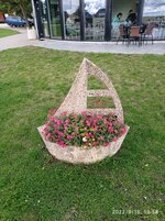 IMG_20220918_135835.jpg