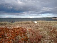 IMG_20220919_165729.jpg