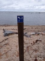 IMG_20220920_075850.jpg
