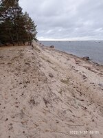 IMG_20220920_080147.jpg