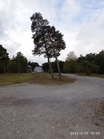 IMG_20220920_100507.jpg