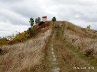 IMG_20220920_105552.jpg
