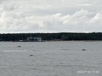 IMG_20220920_120308.jpg