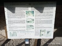 IMG_20220920_164017.jpg