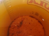 15lit efter klarn.jpg