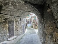 AE66747B-294C-42FF-B00D-73EFC21777F7.jpeg