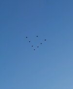 20221213_142259_exported_45388.jpg