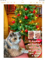 92CBC073-6C52-44F7-863E-22EEE04126AC.png