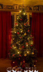 Julgran_MG_9879godjul.jpg