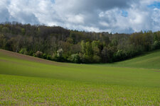 DSC_7881.jpg