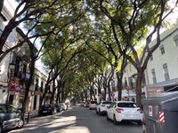 AD05629D-97EA-47CA-8E86-230BF7E8B9A8.jpeg