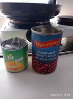 IMG_20230306_180621.jpg