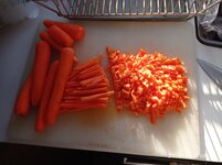 IMG_20230315_085052.jpg