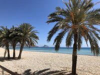 IMG_6522.jpeg
