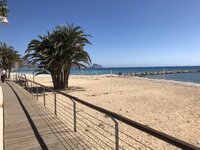 IMG_6515.jpeg