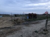 IMG_6532.jpeg