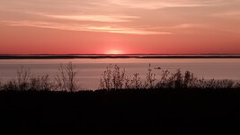 IMG_20230507_211326.jpg