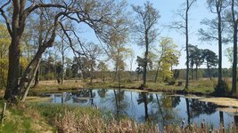 DSC_4342.JPG