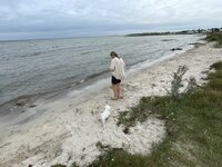 IMG_1766.jpeg