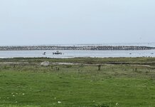 IMG_6750.jpeg