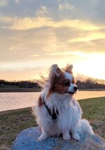 IMG_20220219_170124.jpg