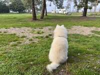 IMG_6722.jpeg