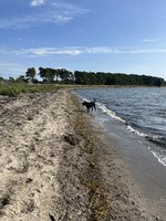 IMG_0394.jpeg