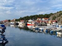 IMG_4627.jpg