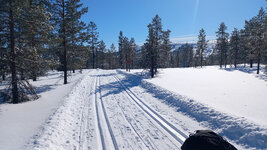 20230310_123631.jpg
