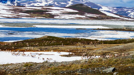 _MG_2386_1.jpg