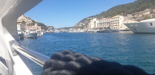 20240614_103408.jpg