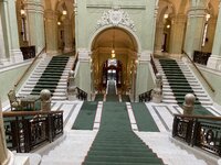 IMG_6010.jpeg