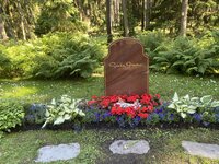 IMG_6032.jpeg