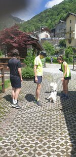 20240622_115226.jpg