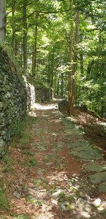 20240622_131502.jpg