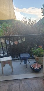 20240622_200545.jpg