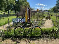 IMG_6049.jpeg