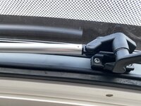 IMG_4555.jpeg
