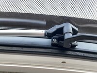 IMG_4556.jpeg